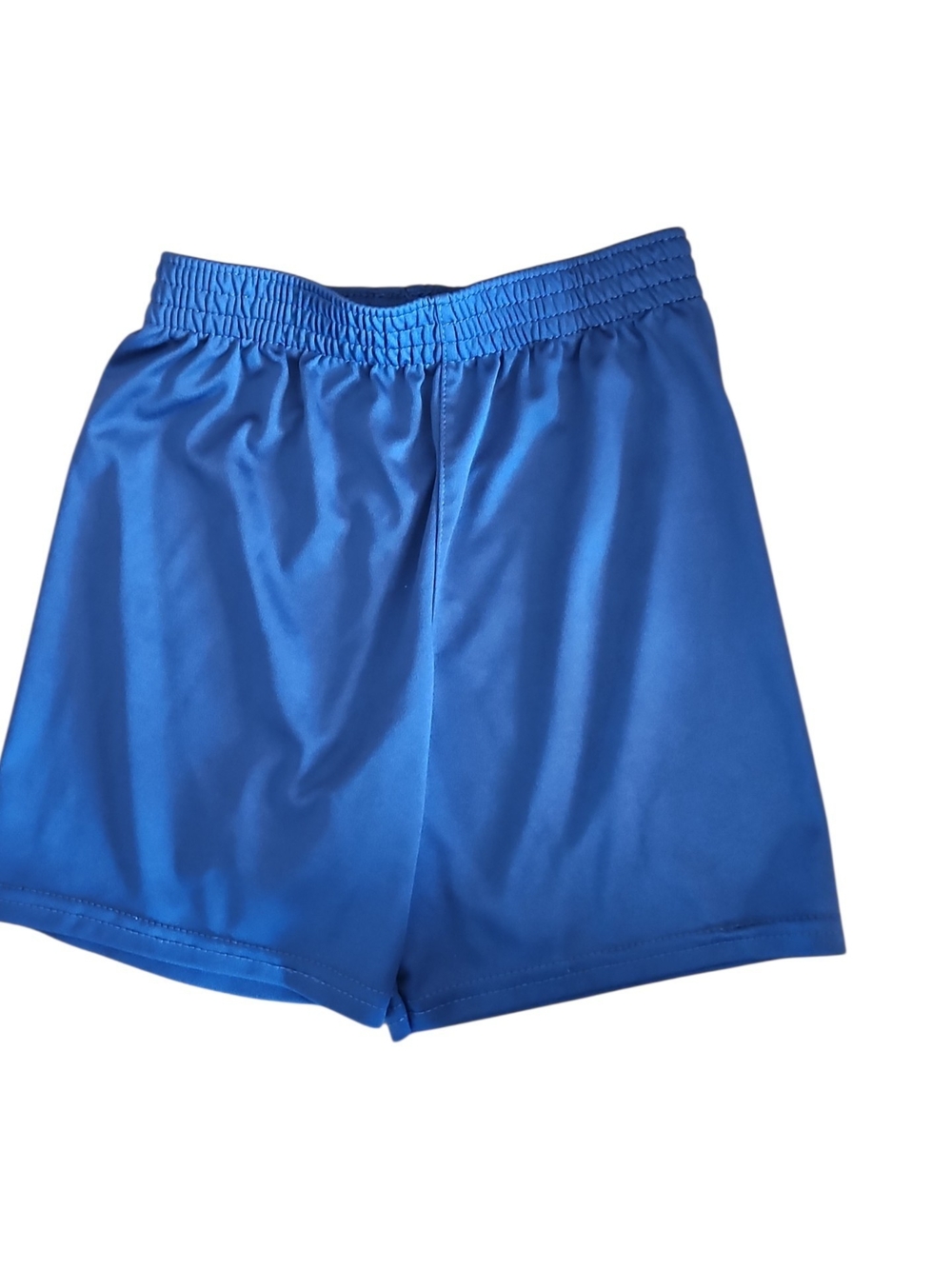Garanimals Blue Kids Athletic Shorts Pull On Size 3t